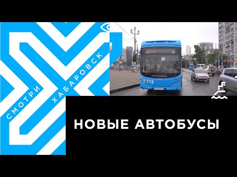 Видео: В Хабаровске новый перевозчик поставит на 8-й и 46-й маршруты автобусы, выпущенные в этом году