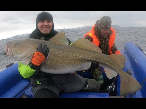 Видео: Мега удачная рыбалка!Баренцево море,кильдин восточный,29 апреля 2019г