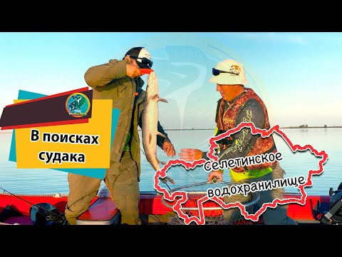 Видео: Селетинское водохранилище. Ловим щуку и судака.