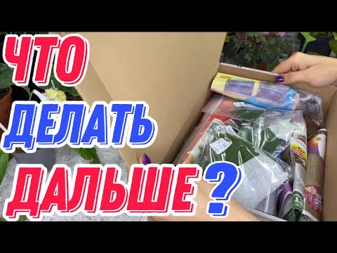 Видео: ЧТО ДЕЛАТЬ С РАСТЕНИЯМИ ПОСЛЕ ПОСЫЛКИ???