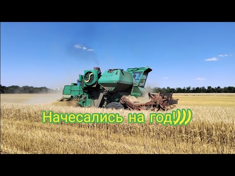 Видео: Уборка 2022 ячмень. Сорт Иосиф.