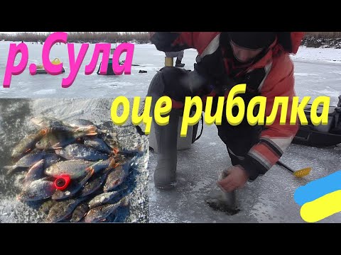 Видео: #СУЛА # Тут клює вся риба #РибачуЯкУмію