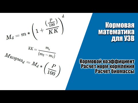 Видео: Кормовая математика в УЗВ