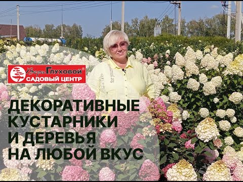 Видео: СОВРЕМЕННЫЙ САДОВЫЙ ЦЕНТР: какие кустарники и деревья сегодня в топе у профессионалов и любителей