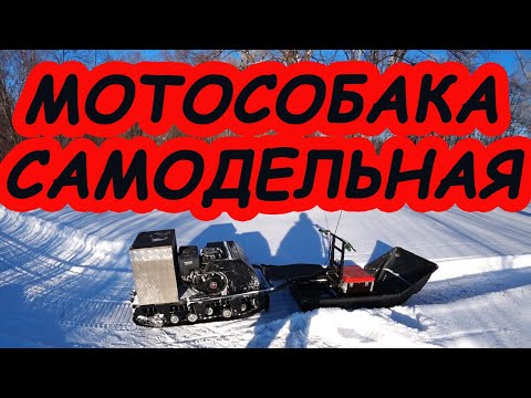 Видео: Мотособака толкач | Мотобуксировщик | Не город TV