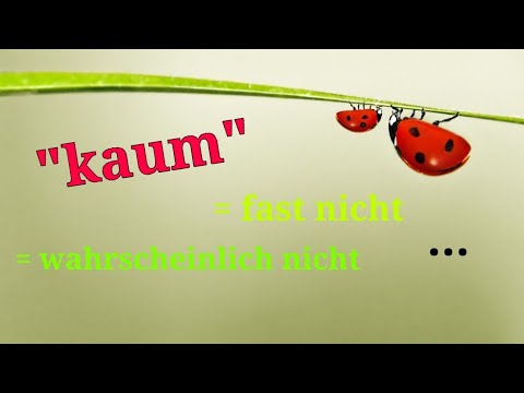 Видео: Думичката "kaum": Значение и употреба