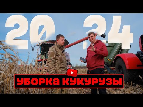 Видео: Технология весенней уборки кукурузы с комбайном СASE 6140 и трактором Кировец К 525