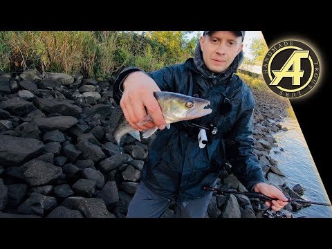 Видео: Рыбалка, отдых, быстрая река, береговая ловля судака на спиннинг с берега