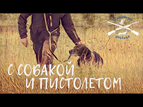 Видео: Натаска легавой по куропатке. (Охотничий Дневник №7)