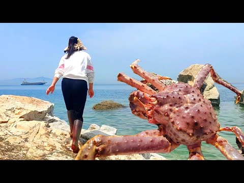 Видео: В водах Северного Ледовитого океана появилось множество новых видов жемчужных раковин