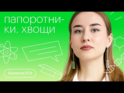 Видео: Папоротники. Хвощи | Биология с Альбиной Амировой