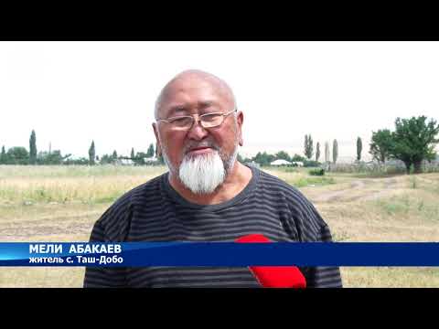 Видео: В селе Таш-Добо Аламединского района третий год подряд нет питьевой воды