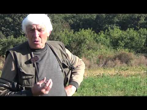 Видео: Подготовка орехового сада к зимовке посредством листовой подкормки. "Фарба садова" завезена