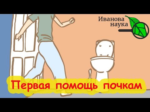 Видео: ВЫПИВАЮ пару глотков И ПОЧКИ НЕ БОЛЯТ! Природное очищение печени и почек. Это растение творит чудеса