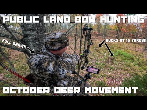 Видео: Охота с луком на общественных землях Верхнего полуострова Мичигана — CRAZY Action — Arrow Release...
