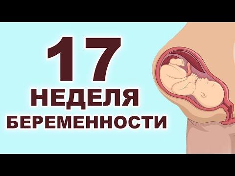 Видео: Что происходит с мамой и ребенком на 17 неделе беременности? 4 месяц беременности. Второй триместр.