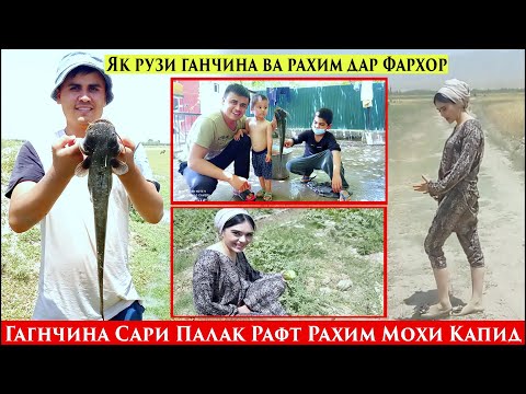 Видео: Як рузи Ганчина ва Рахим дар Фархор.Ганчина сари Палак рафт Рахим Мохи капид ай дарëи Сурхоб
