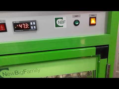 Видео: Инкубатор NBF 180 первые впечатления