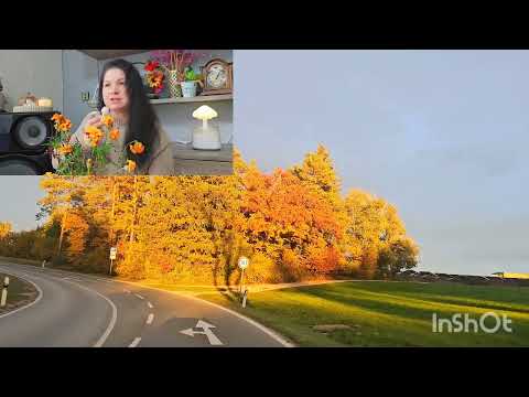 Видео: Все, что ты считал жизнью, — лишь иллюзия#top #обзор #trending #топ #