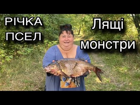 Видео: ФІДЕРНА РИБАЛКА ТА ВІДПОЧИНОК РІЧКА ПСЕЛ. 9.09.2025 р.
