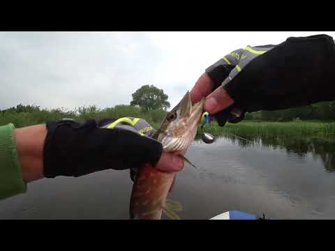 Видео: Как потерять тейл спиннер. Ловля щуки -окуня на реке.