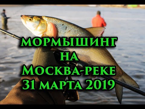 Видео: Мормышинг. 31.03.19.Тест спиннинга Koshey 696