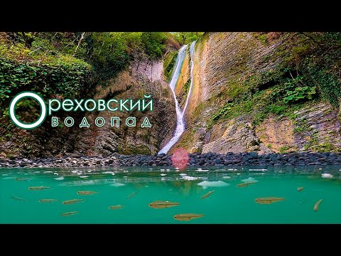 Видео: Ореховский водопад | Природа СОЧИ