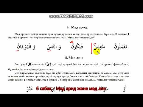 Видео: 6. Мәд арид және мәд лин