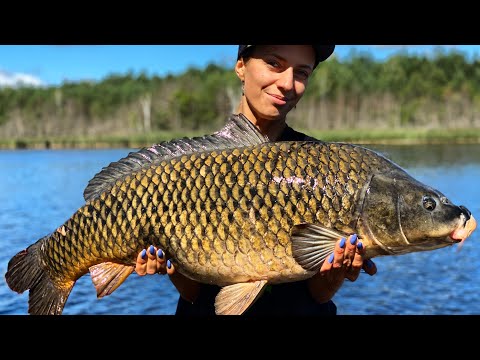 Видео: ЧЁРНЫЕ КАРПЫ ОЗЕРА В ЛЕСУ! Трофейная Рыбалка! ОХОТА НА МОНСТРОВ Серия 5, озеро Плитница.