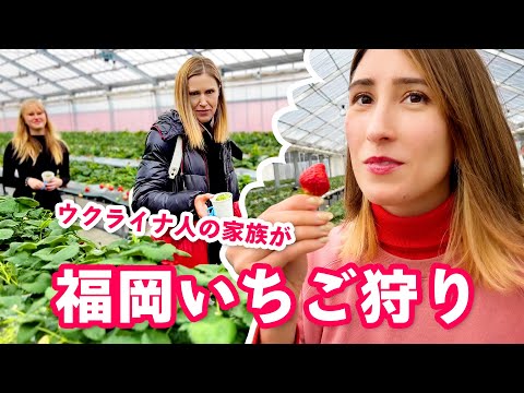 Видео: Всей семьей собираем КЛУБНИКУ на японской ферме!