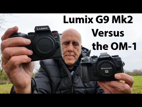 Видео: Сравнение Panasonic Lumix G9 Mk2 и OM1 для съёмки дикой природы. Какой из них лучше?