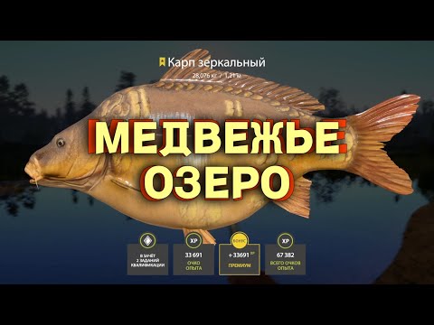 Видео: Русская Рыбалка 4 - Озеро Медвежье