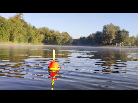 Видео: ЛОВЛЯ ТРОФЕЙНОГО ТОЛСТОЛОБА!!! Водоем кишит рыбой!!! Рыбалка с ночевкой