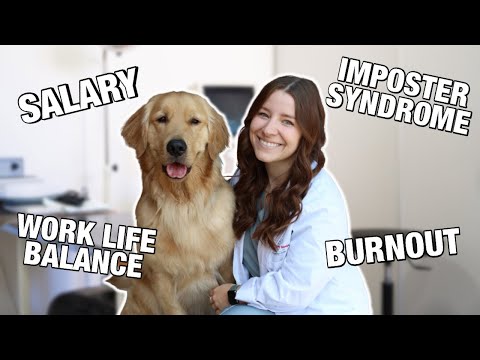 Видео: Вопросы и ответы для НОВОГО ВЫПУСКНИКА-ВЕТЕРИНАРА: зарплата, синдром самозванца, переговоры по ко...