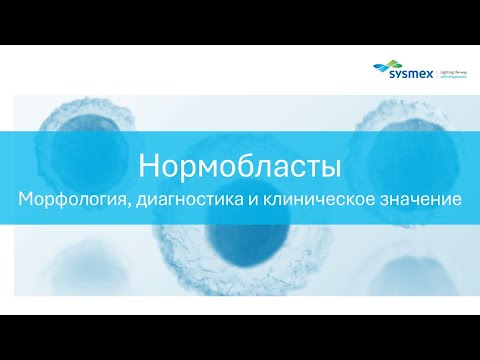 Видео: Нормобласты. Морфология, диагностика и клиническое значение