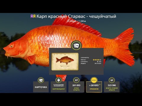 Видео: ПРОВЕРЯЕМ ФАРМ СЕРЕБРА и КОИ на МЕДНОМ и ЗА ТРОФЕЙНЫМ СТАРВАСОМ на ЯНТАРКУ РУССКАЯ РЫБАЛКА 4 РР4