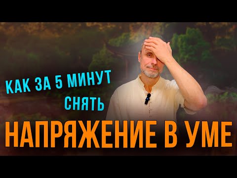 Видео: Усталость и шум в голове? Это упражнение вернёт вам ясность!