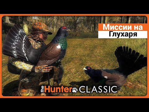 Видео: Миссии на Глухаря в theHunter Classic !