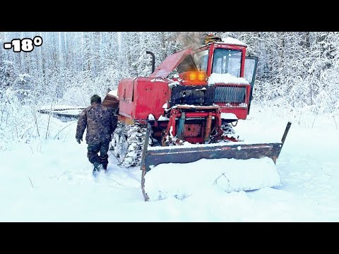 Видео: Пробиваем Дорогу в НОВУЮ ДЕЛЯНКУ на ТДТ 55 Трелевочник! Работа в лесу