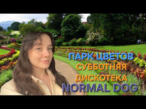 Видео: Fasoollka | ВЛОГ День 3 Шри-Ланка, Субботний треш, Парк цветов на высоте 1800 км. Тик-Ток контент