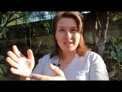 Видео: ИОАНН ПРЕДТЕЧА Святая Земля сегодня 07.07.20