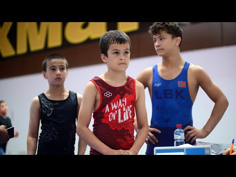 Видео: Взвешивание борцов по греко-римской борьбе в Грозном.