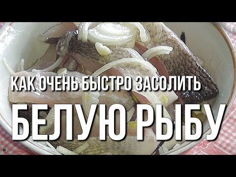 Видео: Как очень быстро засолить белую рыбу. Морозко - скоросолка из белой рыбы