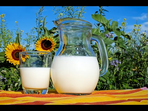 Видео: ПОЛЕЗНО  ЛИ ПИТЬ ПАСТЕРИЗОВАННОЕ  МОЛОКО.