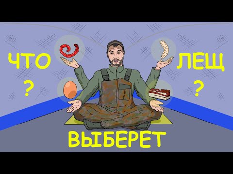 Видео: ЭКСПЕРИМЕНТАЛЬНАЯ РЫБАЛКА С НОЧЕВКОЙ!