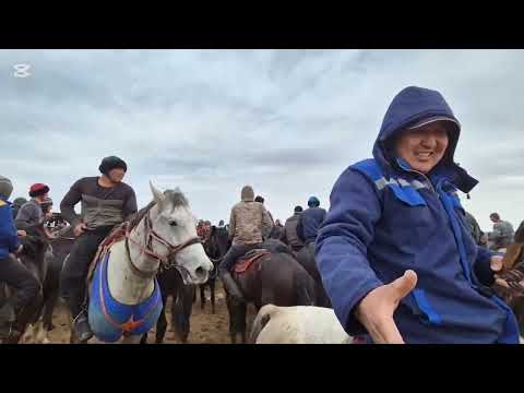 Видео: Кокпар Досназаров 22.03.2025