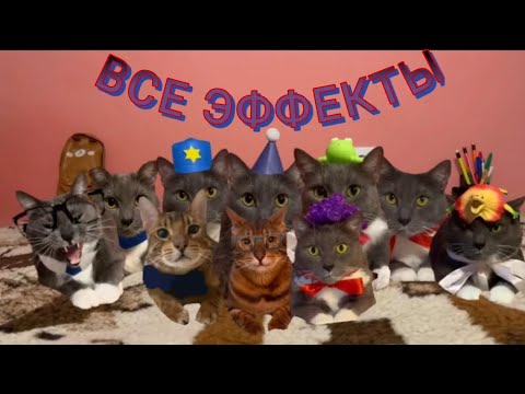 Видео: Все эффекты заставки котинет