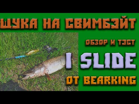 Видео: Обзор и тэст свимбэйта BearKing I Slide 135 . Атака щуки на свимбэйт. Встретил в лесу гадюку.