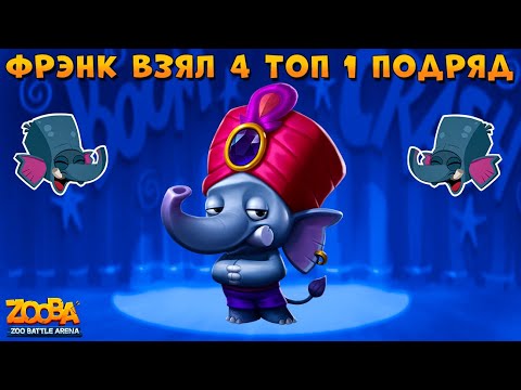 Видео: СЛОН ФРЭНК - 4 ТОП 1 ПОДРЯД В БОЯХ 5 НА 5 В ИГРЕ Zooba: Битва животных