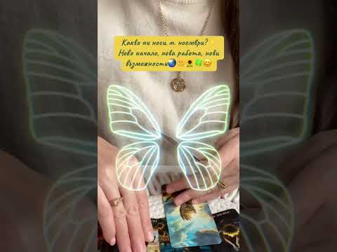 Видео: Какво ни носи м. ноември?✨Ново начало, нова работа, нови възможности🌏🌞🌻🍀😊